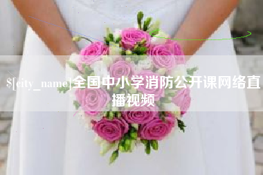 资兴全国中小学消防公开课网络直播视频