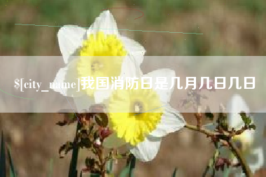 资兴我国消防日是几月几日几日