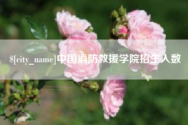 资兴中国消防救援学院招生人数