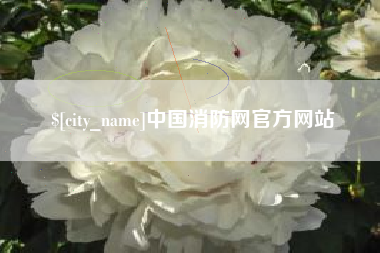 资兴中国消防网官方网站