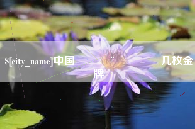 资兴中国🇨🇳几枚金牌