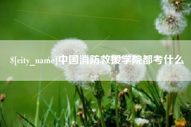 资兴中国消防救援学院都考什么