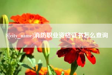资兴消防职业资格证书怎么查询