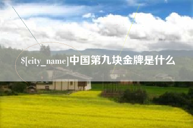资兴中国第九块金牌是什么