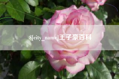 资兴王子豪百科