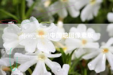 资兴中国地图像素版
