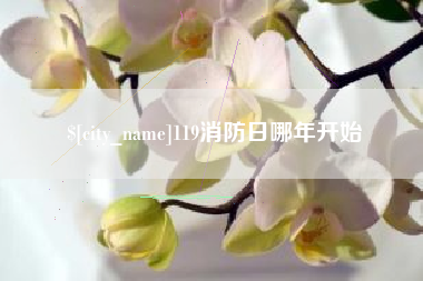 资兴119消防日哪年开始