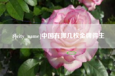 资兴中国有哪几枚金牌得主