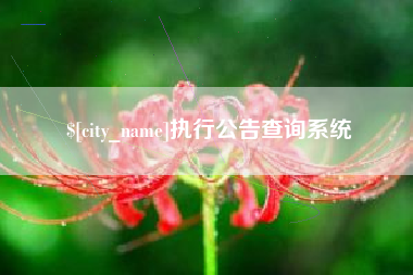 资兴执行公告查询系统