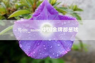 资兴中国金牌都是啥