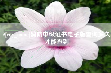 资兴消防中级证书电子版查询多久才能查到