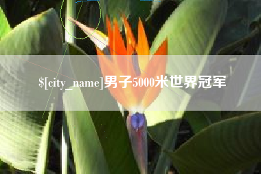资兴男子5000米世界冠军