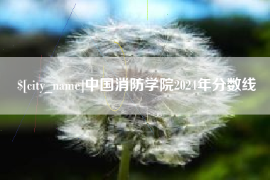 资兴中国消防学院2024年分数线