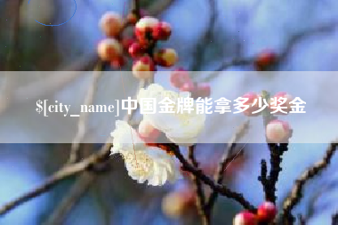 资兴中国金牌能拿多少奖金