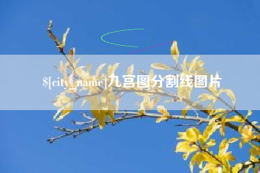 资兴九宫图分割线图片