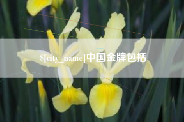 资兴中国金牌包括