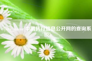 资兴中国执行信息公开网的查询系统