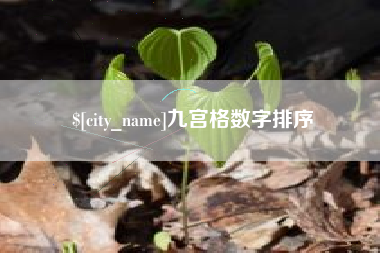 资兴九宫格数字排序