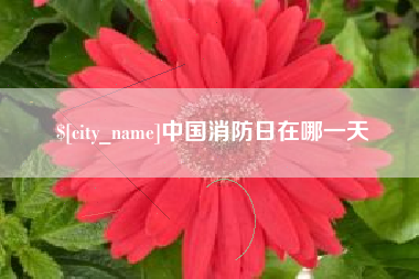 资兴中国消防日在哪一天