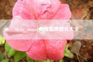 资兴中国金牌图片大全