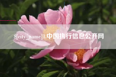 资兴1.中国执行信息公开网
