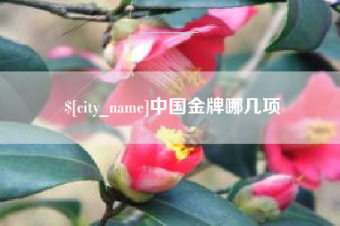 资兴中国金牌哪几项