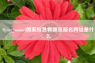 资兴国家应急救援员报名网址是什么