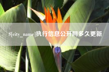 资兴执行信息公开网多久更新