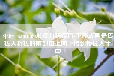 资兴60米接力赛技巧-下压式则是传棒人将棒的前部由上向下传到接棒人手中