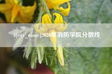 资兴2020年消防学院分数线