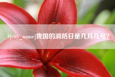 资兴我国的消防日是几月几号？