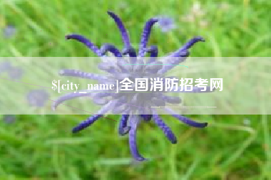 资兴全国消防招考网