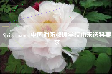 资兴中国消防救援学院山东选科要求