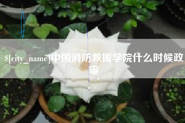资兴中国消防救援学院什么时候政审