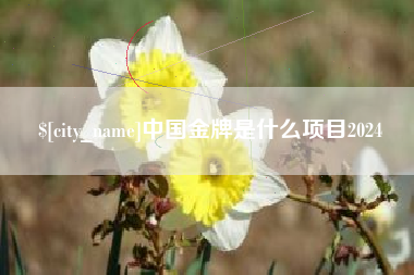 资兴中国金牌是什么项目2024