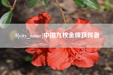 资兴中国九枚金牌获得者
