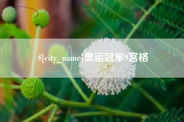 资兴奥运冠军9宫格