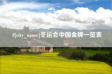 资兴冬运会中国金牌一览表