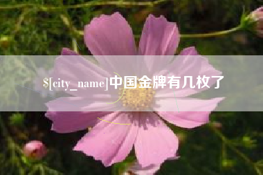 资兴中国金牌有几枚了