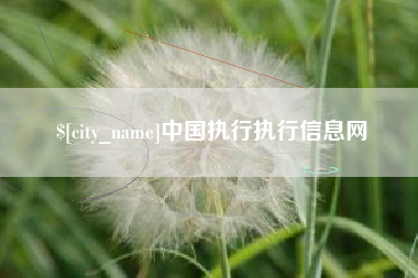 资兴中国执行执行信息网