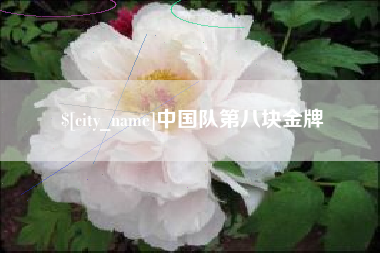 资兴中国队第八块金牌