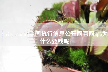 资兴中国执行信息公开网官网app为什么要钱呢