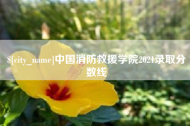 资兴中国消防救援学院2021录取分数线