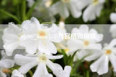 资兴579九宫格如何排