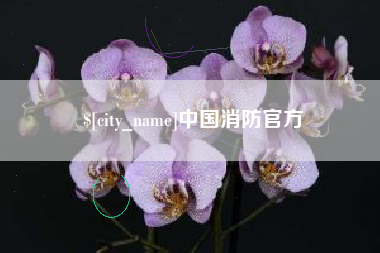 资兴中国消防官方