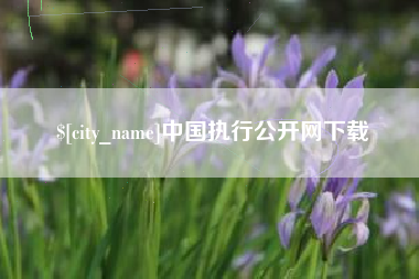 资兴中国执行公开网下载