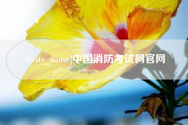 资兴中国消防考试网官网