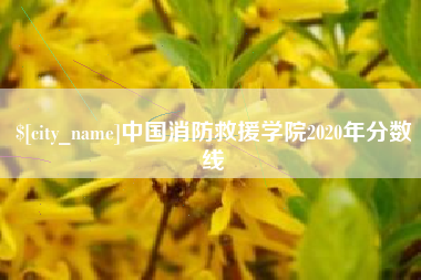 资兴中国消防救援学院2020年分数线