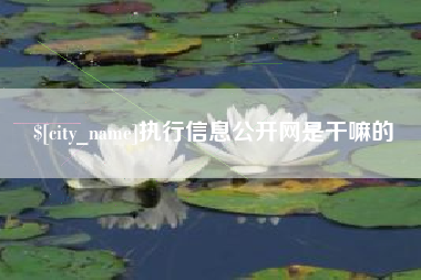 资兴执行信息公开网是干嘛的