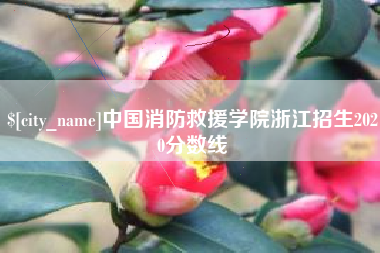 资兴中国消防救援学院浙江招生2020分数线